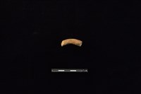 藏品(陶把)的圖片